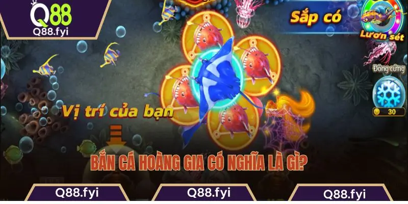 Bắn cá Hoàng Gia có nghĩa là gì?